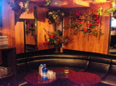 �A�C���[��