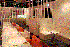 �L���v�`���[