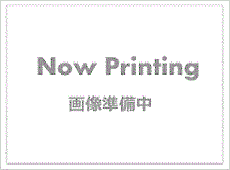 ���C�����J�t�F�����g